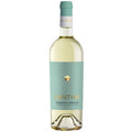 FANTINI GROUP 2022 Fantini Trebbiano D'Abruzzo (FANTINI SERIES)