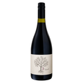 2024 '3 by Attwoods' Pinot Noir