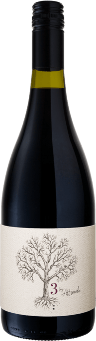 2024 '3 by Attwoods' Pinot Noir
