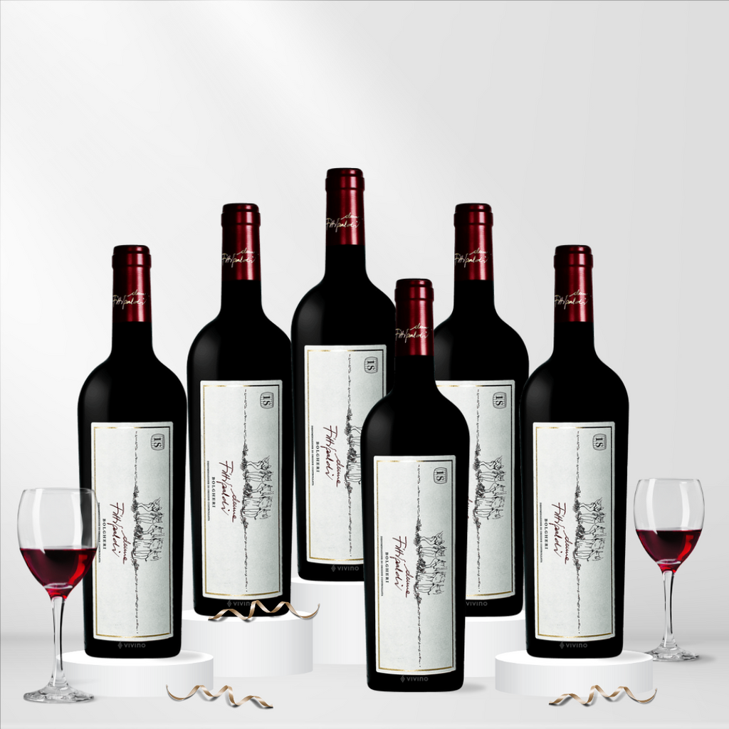 Donne Fittipaldi Bolgheri 2021 Bundle
