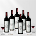 Donne Fittipaldi Bolgheri 2021 Bundle