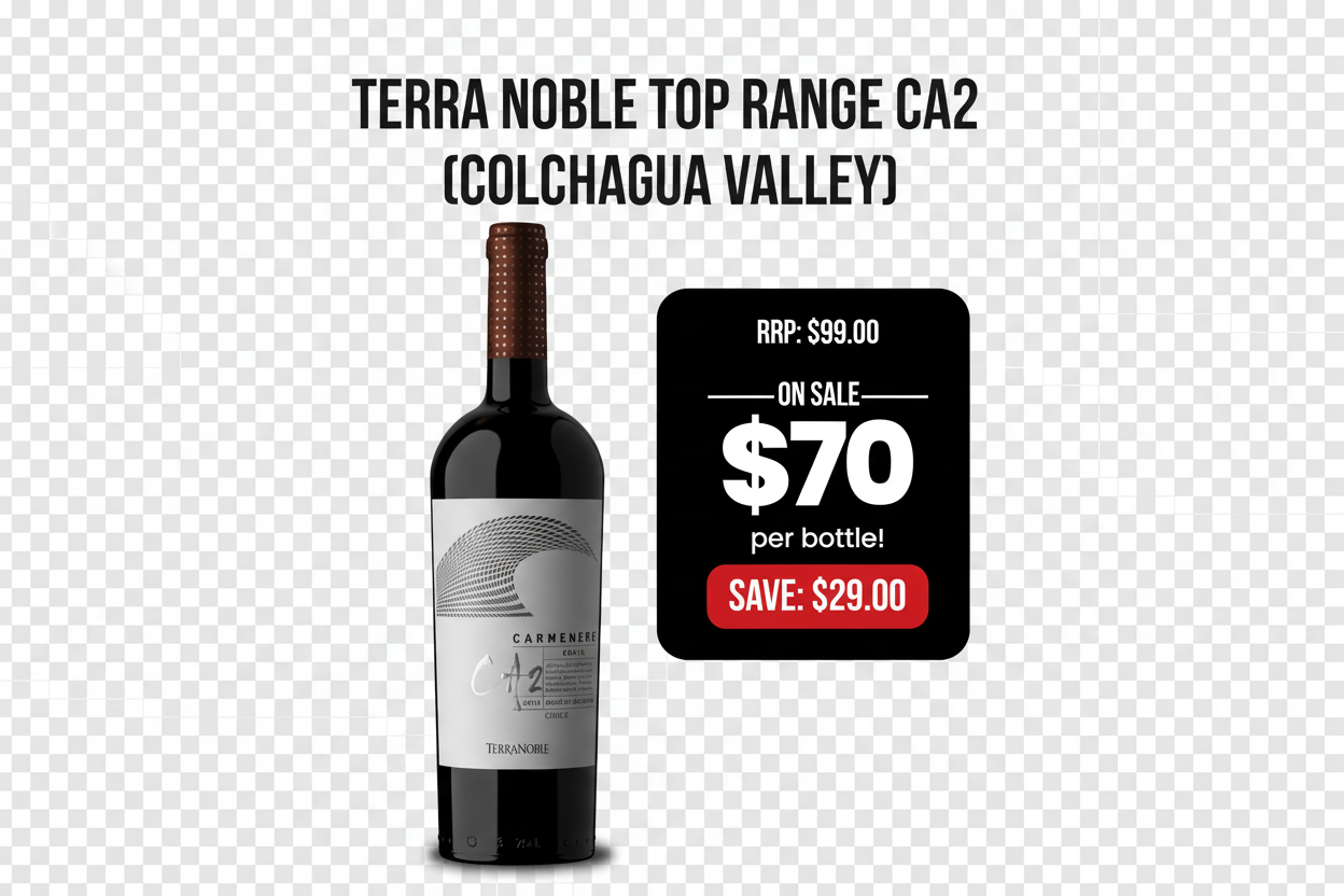 Terra Noble CA2 Colchagua Valley – Background Removed